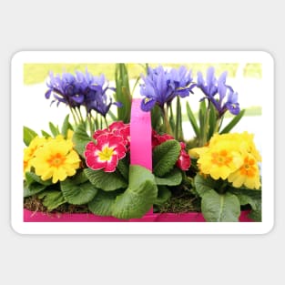 Colourful Spring Flowers Sticker